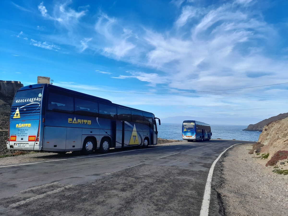 Autocar CANITO en servicio regular — portafolio 2026